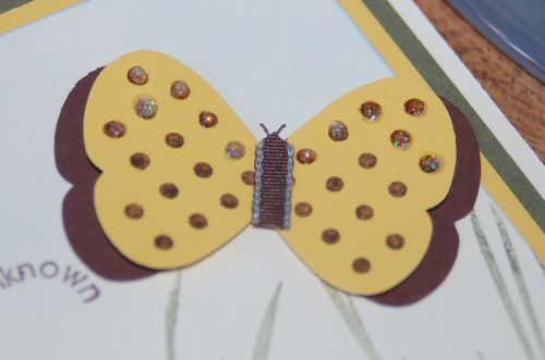 Dazzling Details on some of the butterfly's spots!